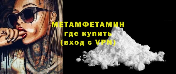 прущие грибы Заводоуковск