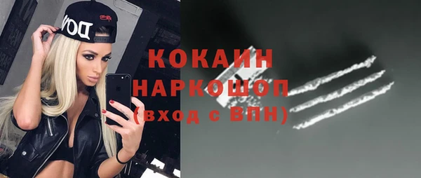 прущий лед Ельня
