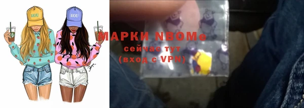 прущие грибы Заводоуковск