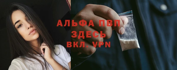 прущие грибы Заводоуковск
