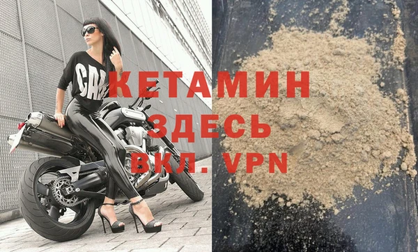 прущие грибы Заводоуковск