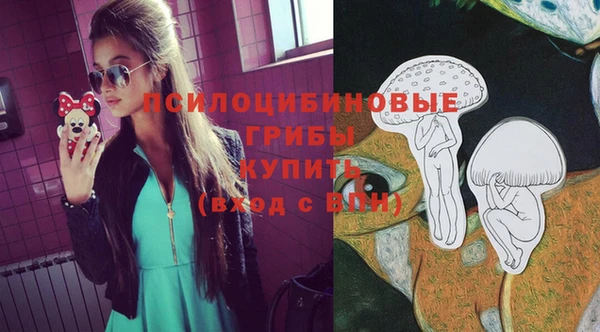 прущий лед Ельня