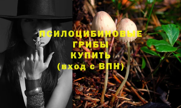 кокс Елизово