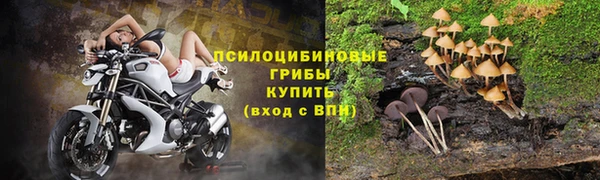 прущий лед Ельня