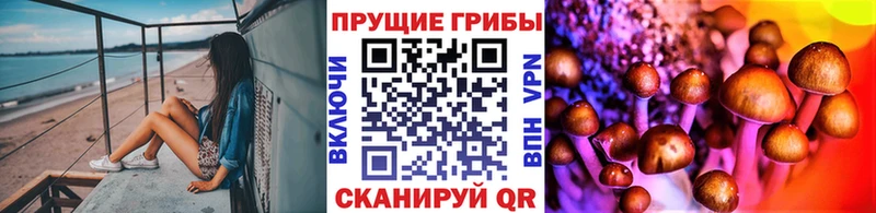 Псилоцибиновые грибы Cubensis  маркетплейс состав  Городище 